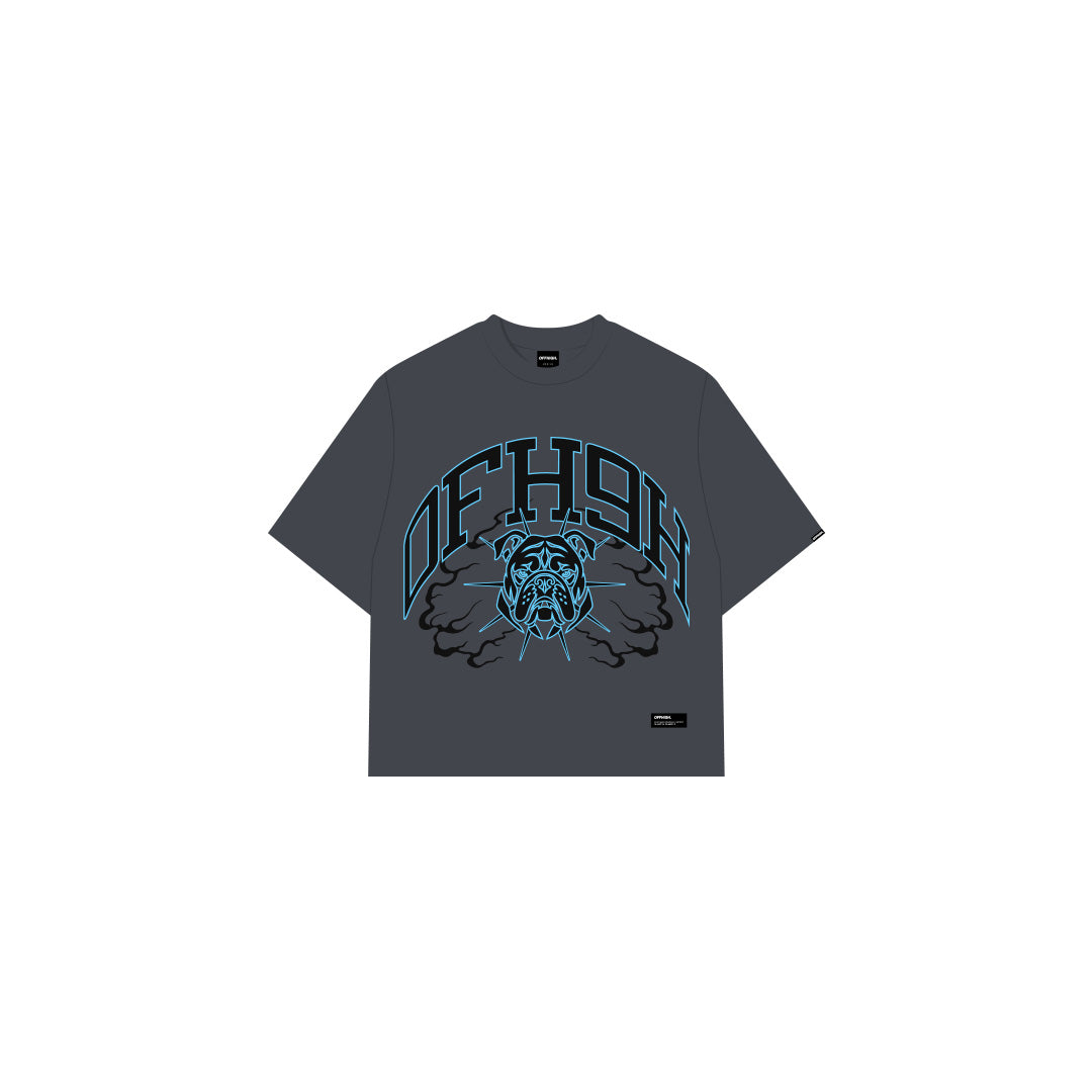 OFFHIGH BULLY GRAY TSHIRT