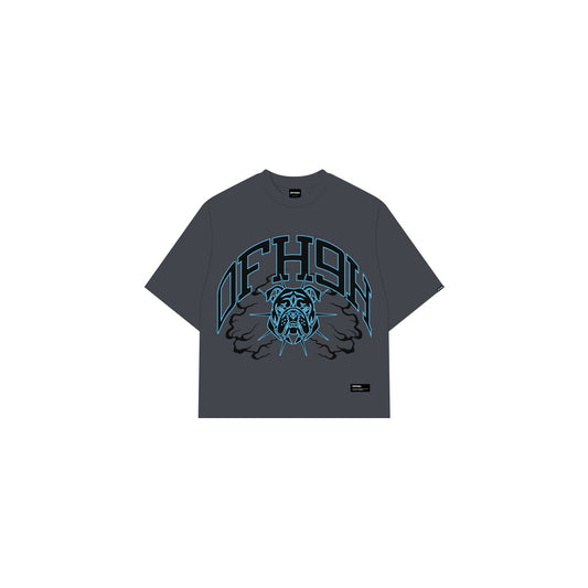 OFFHIGH BULLY GRAY TSHIRT